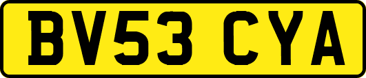 BV53CYA