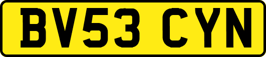 BV53CYN