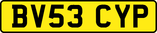 BV53CYP