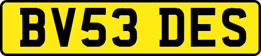 BV53DES