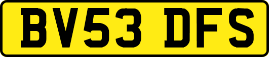 BV53DFS