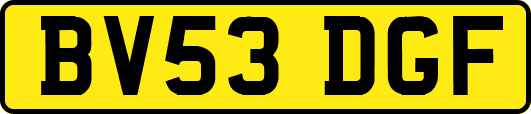 BV53DGF