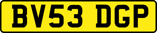 BV53DGP