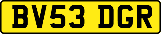 BV53DGR