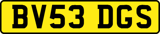 BV53DGS