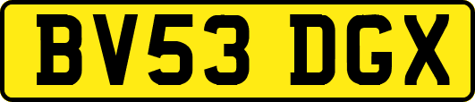 BV53DGX
