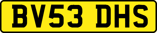 BV53DHS