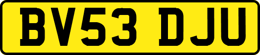 BV53DJU
