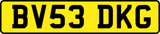 BV53DKG