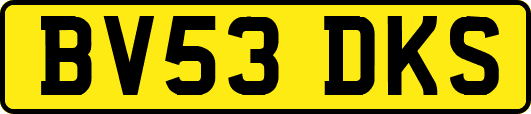 BV53DKS