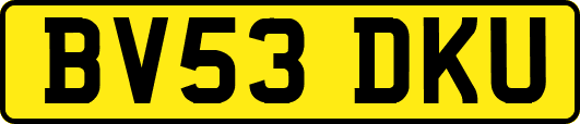 BV53DKU