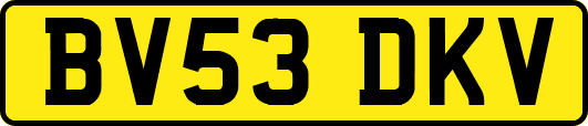 BV53DKV