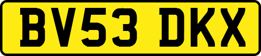 BV53DKX