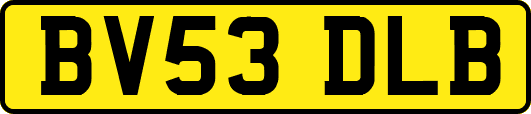 BV53DLB