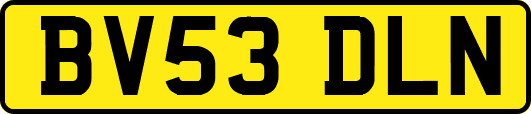 BV53DLN