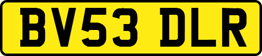 BV53DLR