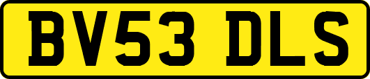 BV53DLS