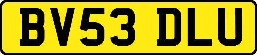 BV53DLU