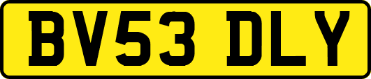 BV53DLY