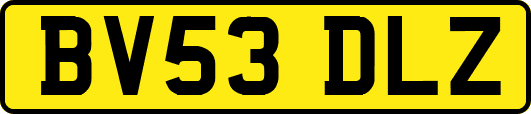 BV53DLZ