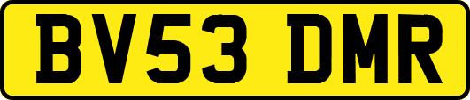 BV53DMR