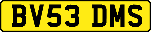 BV53DMS