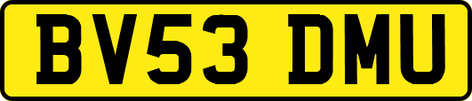 BV53DMU