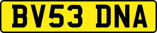 BV53DNA