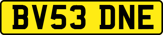 BV53DNE