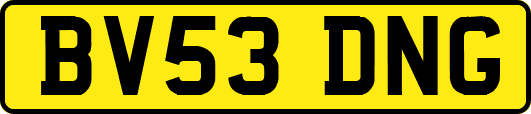 BV53DNG