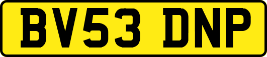 BV53DNP