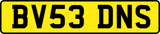 BV53DNS