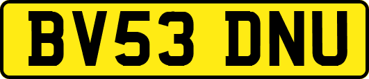 BV53DNU