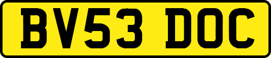 BV53DOC