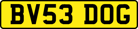 BV53DOG