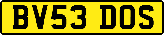 BV53DOS
