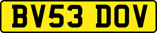 BV53DOV