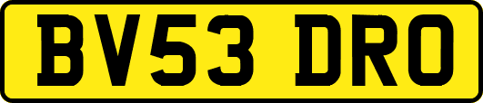 BV53DRO