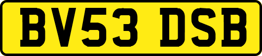 BV53DSB