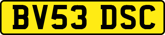 BV53DSC