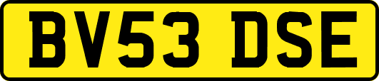 BV53DSE