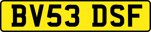 BV53DSF