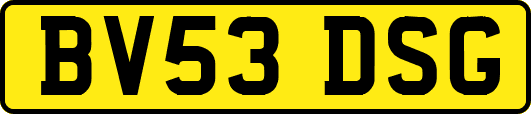 BV53DSG