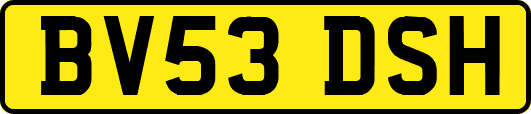 BV53DSH