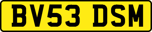 BV53DSM