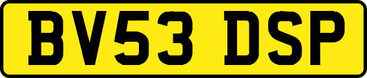 BV53DSP