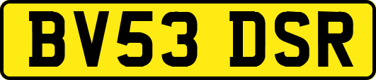BV53DSR