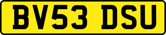 BV53DSU