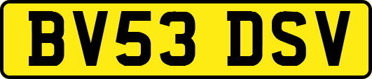 BV53DSV