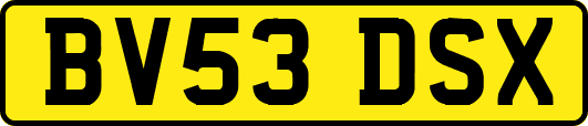 BV53DSX